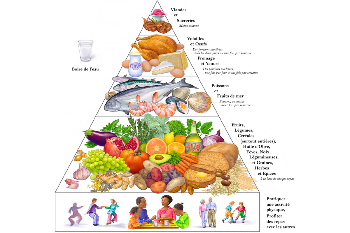 La Pyramide du Regime Mediterraneen